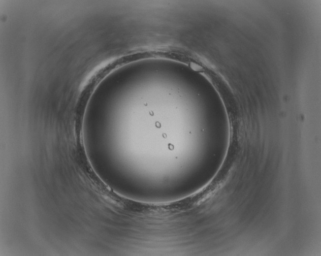 X0000068891214200605122025