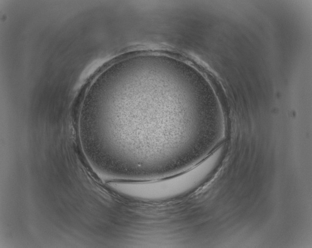 X0000068891215200605122025