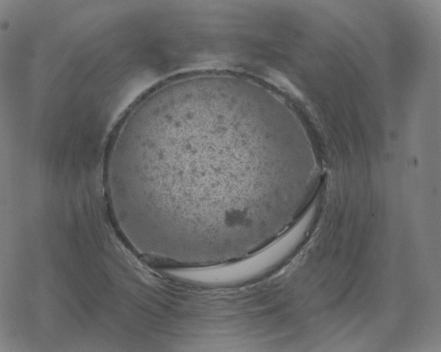 X0000068891216200605122025