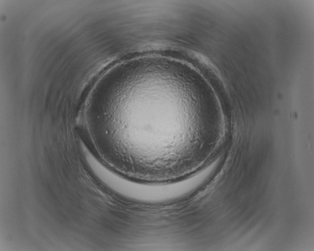 X0000068891217200605122025