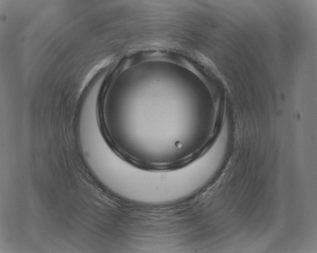 X0000068891218200605122025