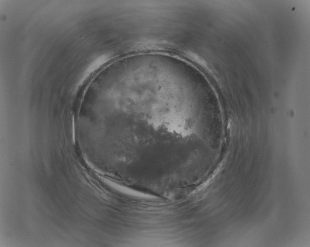 X0000068891219200605122025