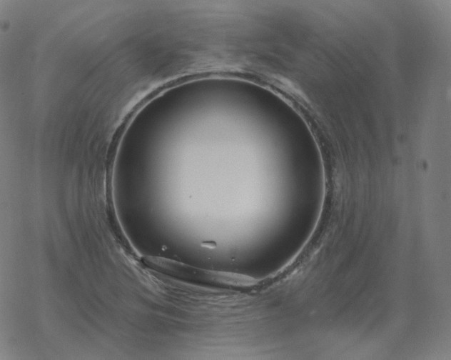 X0000068891220200605122025