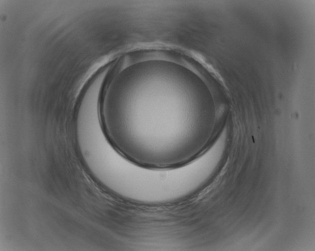 X0000068891221200605122025