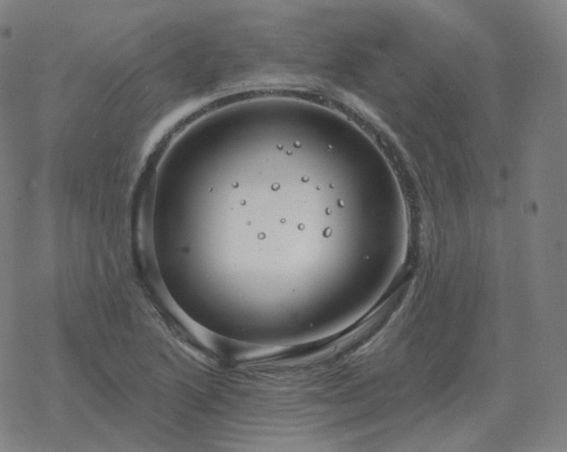 X0000068891222200605122025