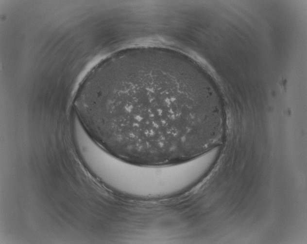 X0000068891224200605122025