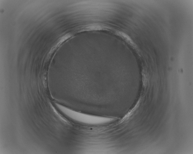 X0000068891225200605122025