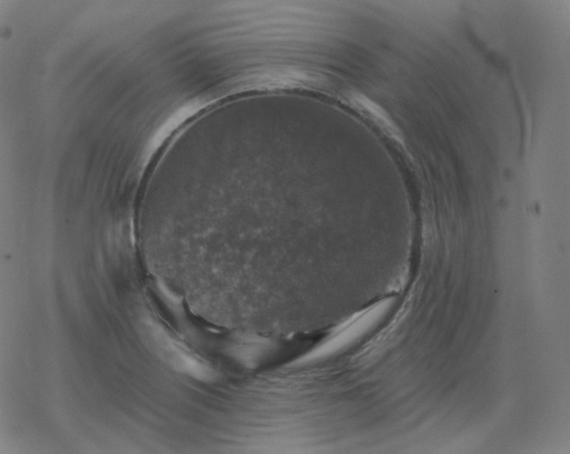 X0000068891226200605122025