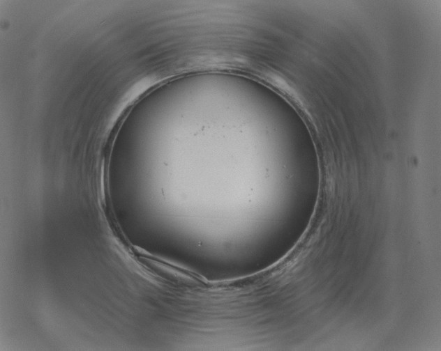 X0000068891227200605122025