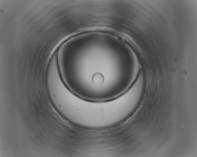 X0000068891228200605122025