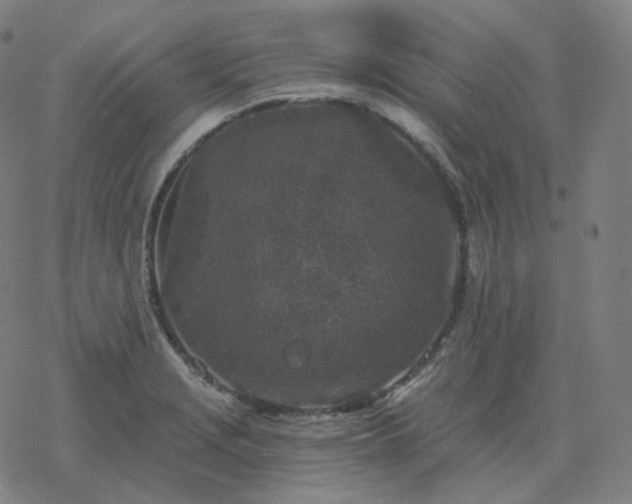 X0000068891229200605122025