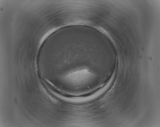 X0000068891230200605122025