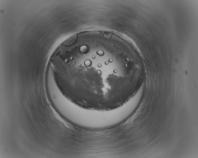 X0000068891231200605122025