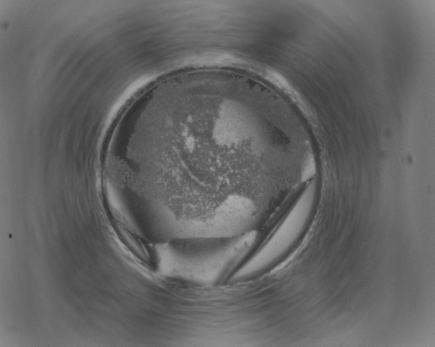 X0000068891232200605122025