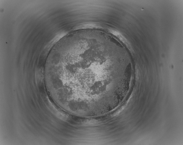 X0000068891233200605122025