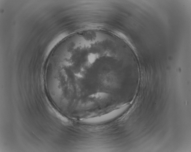 X0000068891235200605122025