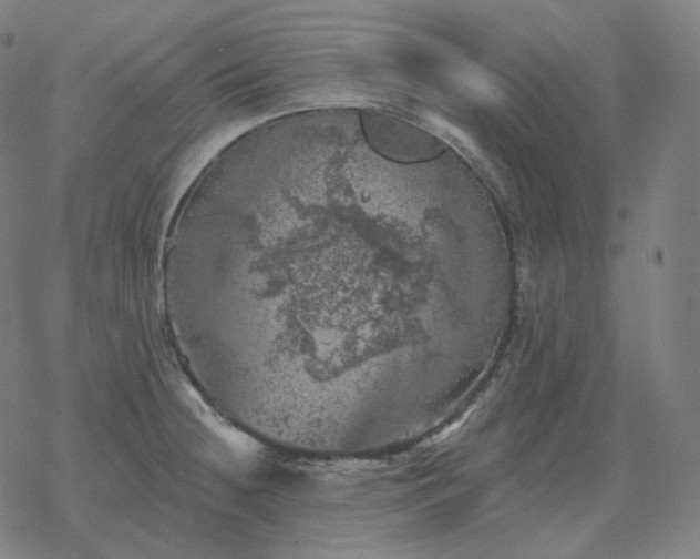 X0000068891236200605122025