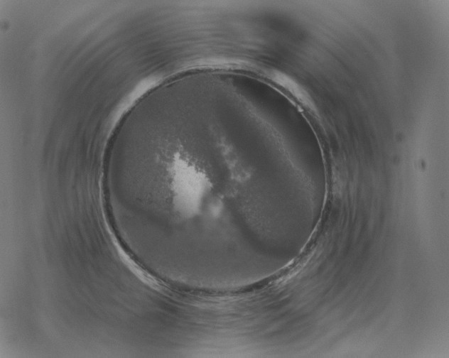 X0000068891237200605122025