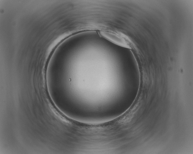 X0000068891238200605122025