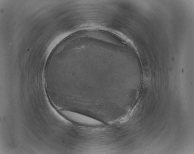 X0000068891239200605122025