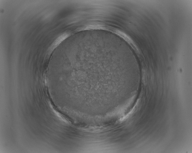 X0000068891241200605122025