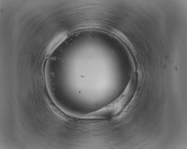 X0000068891242200605122025