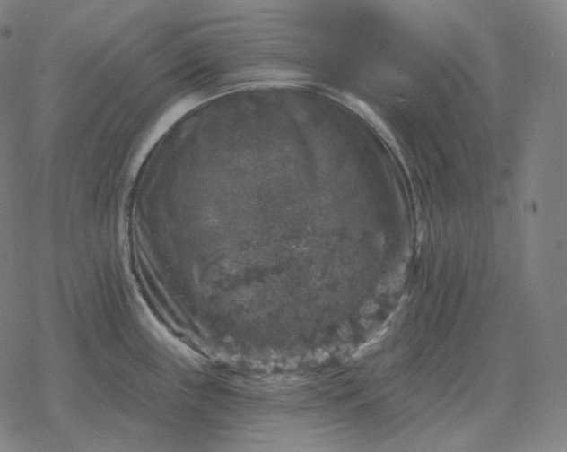 X0000068891243200605122025