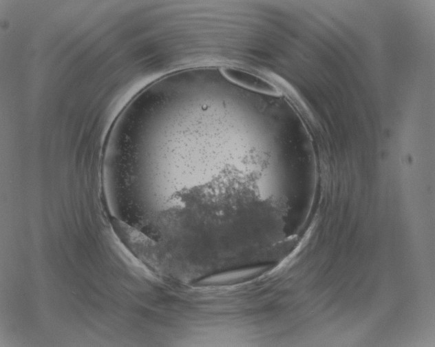 X0000068891244200605122025