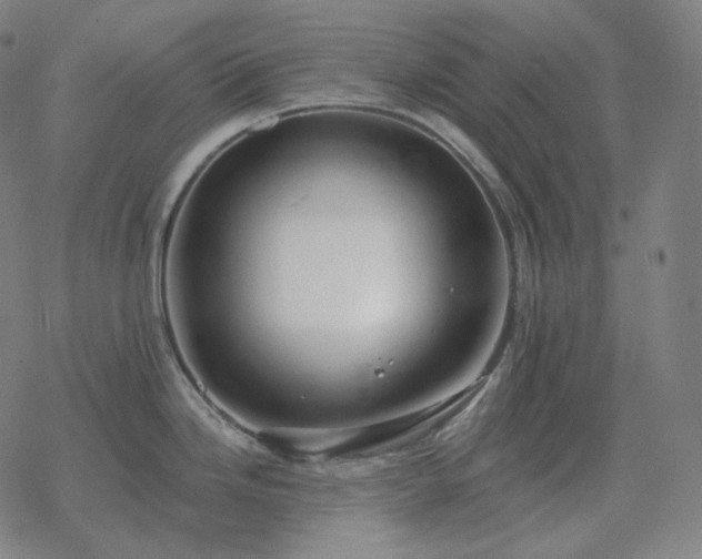 X0000068891246200605122026