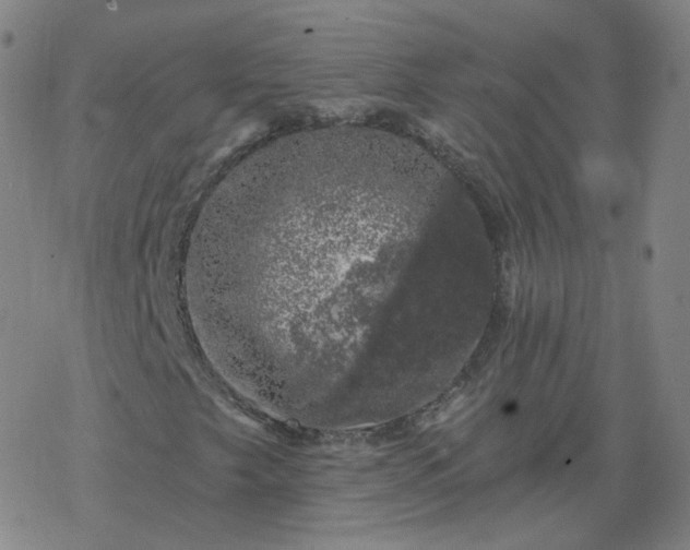 X0000068891249200605122025