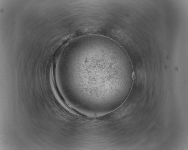 X0000068891250200605122025