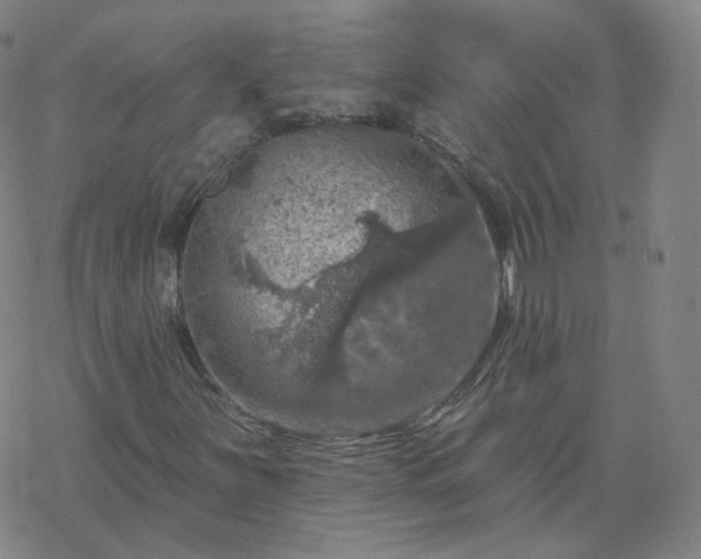 X0000068891251200605122025