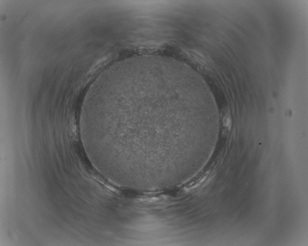 X0000068891252200605122025