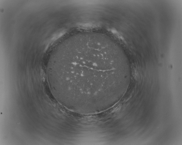 X0000068891253200605122025