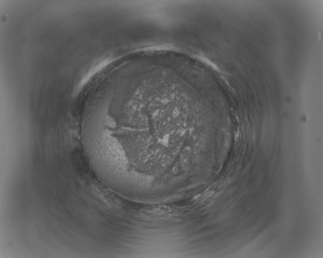 X0000068891255200605122025