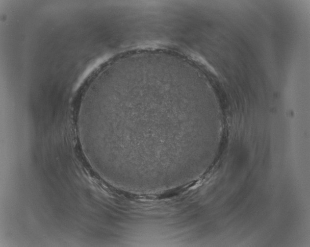 X0000068891256200605122025