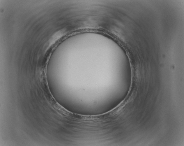 X0000068891258200605122025