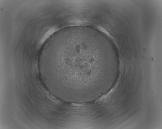 X0000068891259200605122025