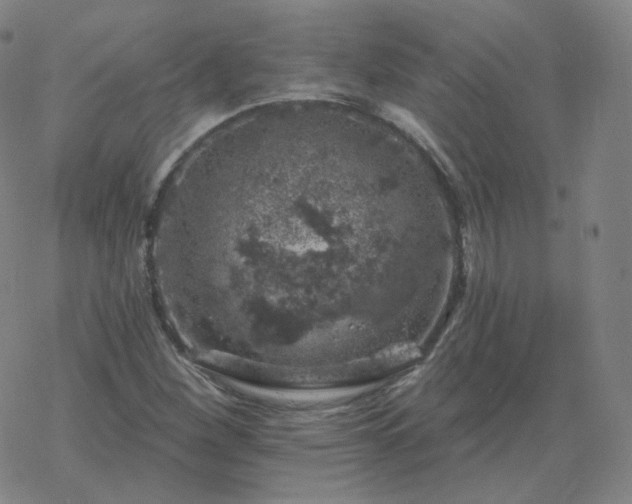 X0000068891260200605122025