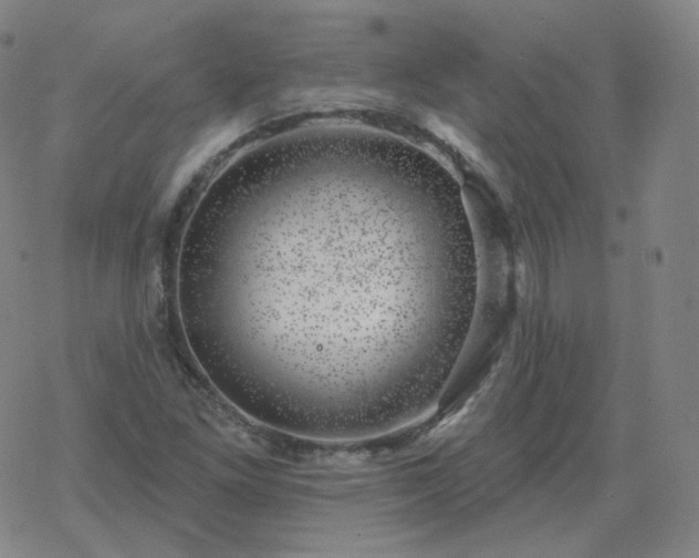 X0000068891261200605122025