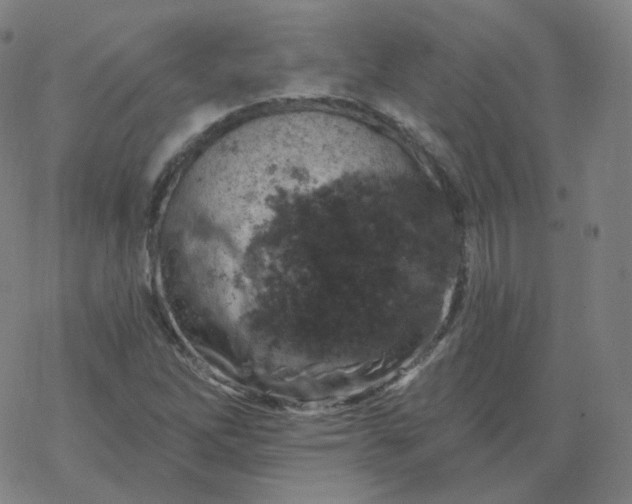 X0000068891262200605122025