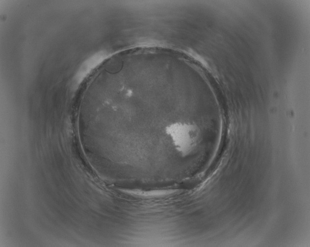 X0000068891263200605122025