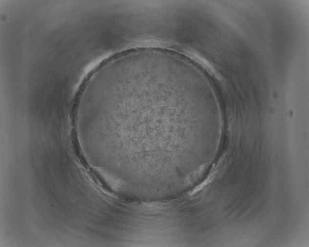 X0000068891264200605122025