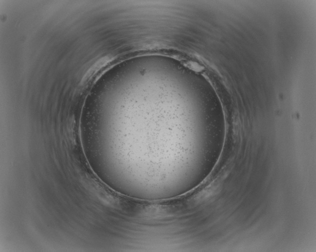 X0000068891265200605122025