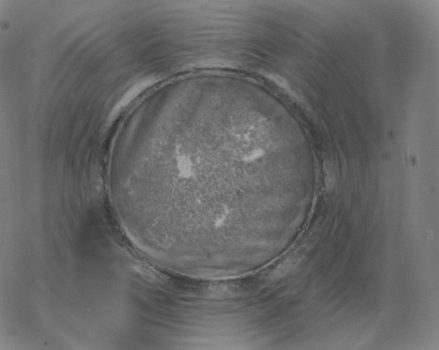 X0000068891266200605122024