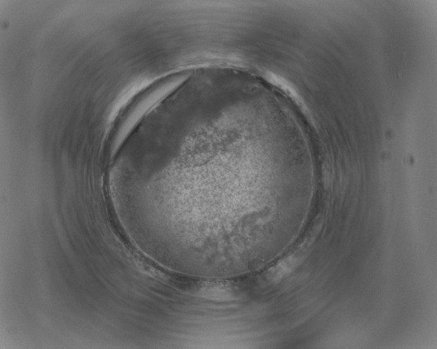 X0000068891267200605122024