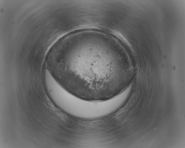 X0000068891268200605122024