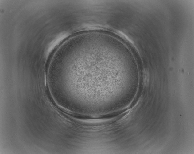 X0000068891269200605122024