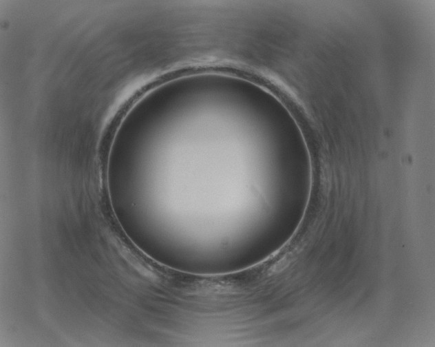 X0000068891270200605122024