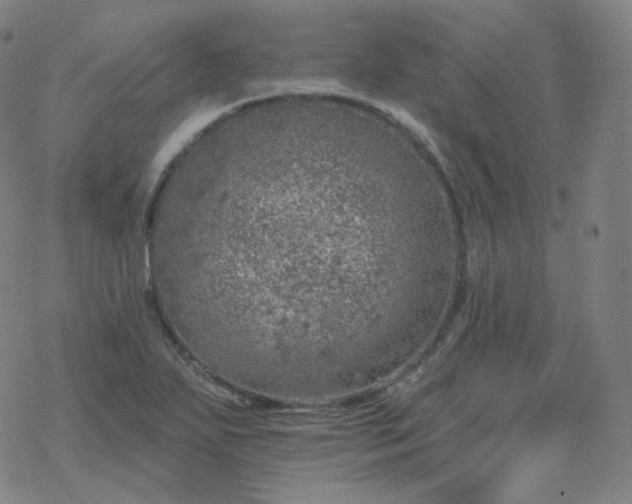 X0000068891271200605122024